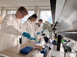 Rind, Schwein, Pute oder Tofu?